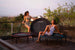Leaps and Rebounds all Exercise Rebounders | Mini Trampolines | Running Trampolines| side by side comparison