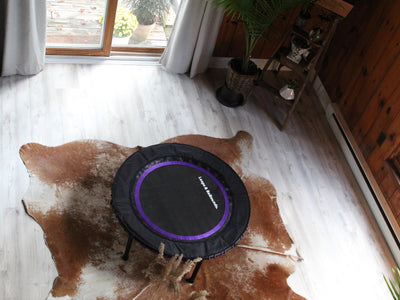 The image features a mini trampoline set up in a cozy indoor living space with wooden walls and abundant natural light.
