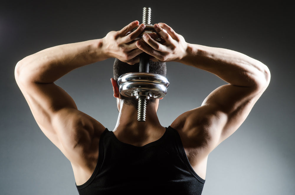Sculpt Your Back: The Ultimate Guide to Dumbbell Exercise for the Back ...