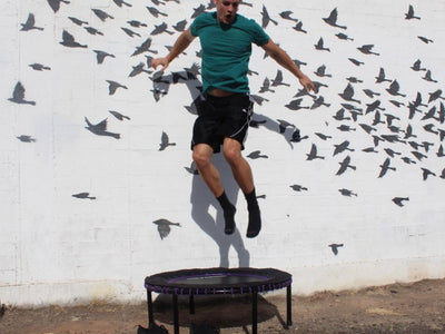 Person jumping on trampoline in front of bird mural wall.