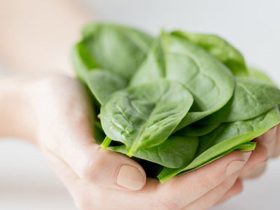 Mini Fitness Trampolines And Other Simple Ways To Improve Your Health