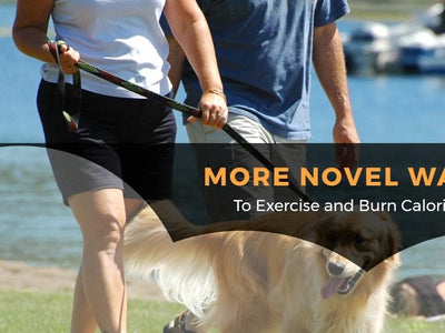 Exercise and Burn Calories
