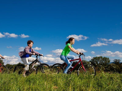 Rebounding and Other Great Forms of Low-Impact Exercise