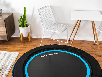 Small trampoline in modern living room with chairs and artwork.