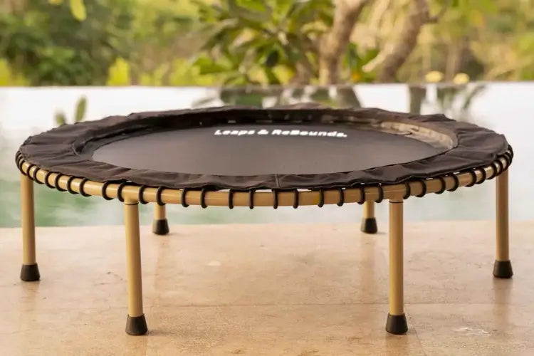 Leaps & Rebounds American Tough Gold Rush rebounder poolside