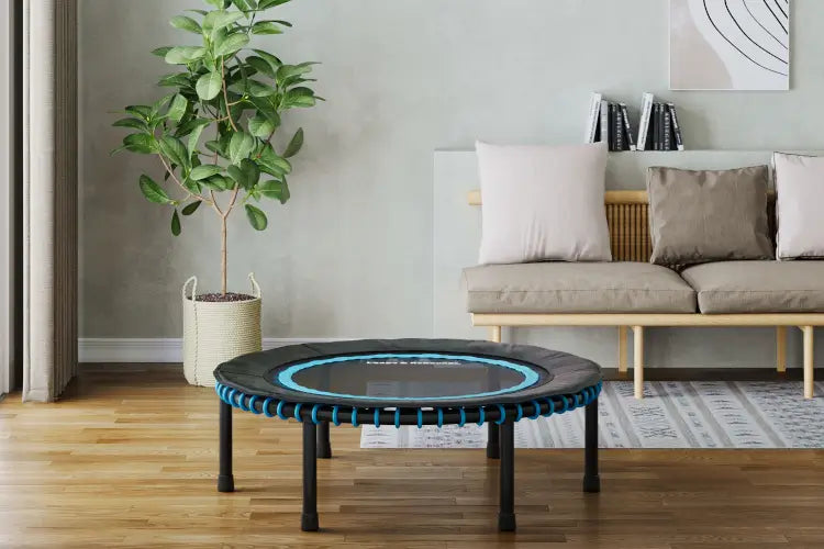 Fitness Rebounder (Mini Trampoline)