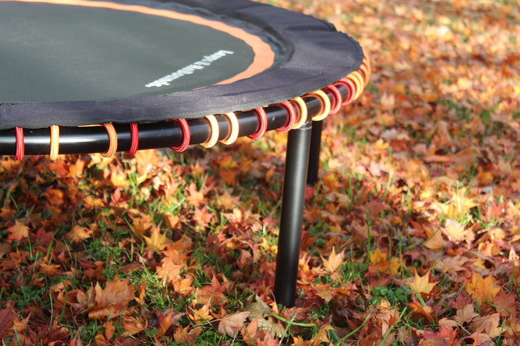 Fall Bungee Pack | Orange & Red Bungees